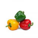 Capsicum