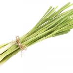 Citronella