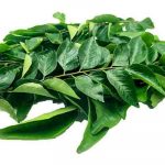 Curry leaf