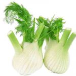 Fennel