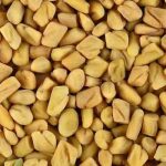 Fenugreek