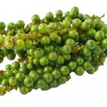 Greenpepper