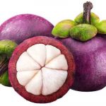 Mangosteen