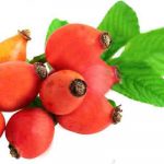 Rosehips